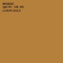 #B5803C - Luxor Gold Color Image